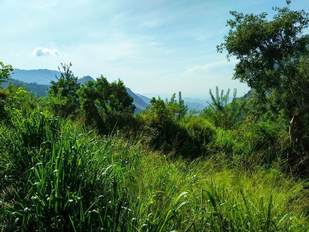 Village View Homestay Елла Екстер'єр фото